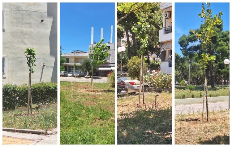 Νέες φυτεύσεις δέντρων πραγματοποιήθηκαν στο Ηλιακό Χωριό