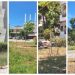 Νέες φυτεύσεις δέντρων πραγματοποιήθηκαν στο Ηλιακό Χωριό