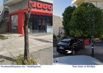 Συμμαχία Πολιτών για τη Μεταμόρφωση: «Σταματήστε να σφαγιάζετε τα δένδρα!»