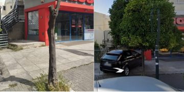Συμμαχία Πολιτών για τη Μεταμόρφωση: «Σταματήστε να σφαγιάζετε τα δένδρα!»