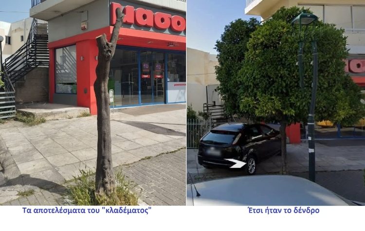 Συμμαχία Πολιτών για τη Μεταμόρφωση: «Σταματήστε να σφαγιάζετε τα δένδρα!»
