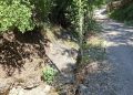 Επίσκεψη στα ρέματα της Πεντέλης πραγματοποίησε ο Περιβαλλοντικός Σύλλογος «Η Πεντέλη μας»
