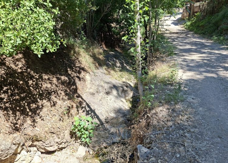 Επίσκεψη στα ρέματα της Πεντέλης πραγματοποίησε ο Περιβαλλοντικός Σύλλογος «Η Πεντέλη μας»