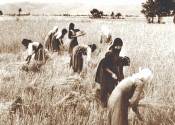 Ιούνιος, ο µήνας του θερισµού