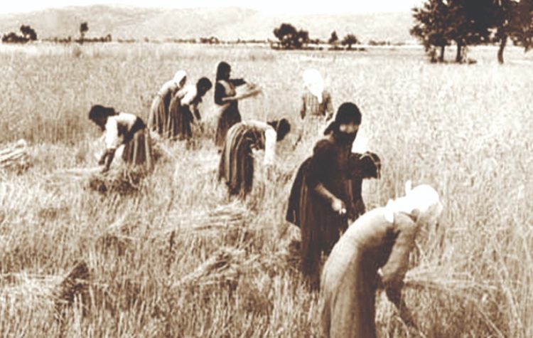 Ιούνιος, ο µήνας του θερισµού