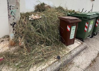 Υπό έλεγχο η πυρκαγιά στη Φιλοθέη