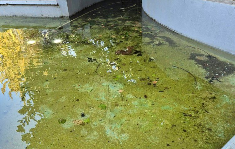 Εικόνα από την πλατεία της Αγ. Σοφίας στο Νέο Ψυχικό, στις 30/6/2026