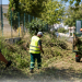 Εκτεταμένοι καθαρισμοί και αποψιλώσεις στον Δήμο Πεντέλης για την αντιπυρική προστασία