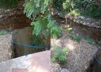 Καταγγελία του Συλλόγου Προστασίας Περιβάλλοντος Ρεματιάς Χαλανδρίου