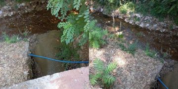 Καταγγελία του Συλλόγου Προστασίας Περιβάλλοντος Ρεματιάς Χαλανδρίου