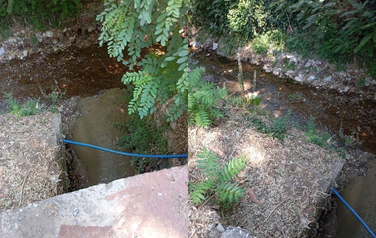 Καταγγελία του Συλλόγου Προστασίας Περιβάλλοντος Ρεματιάς Χαλανδρίου