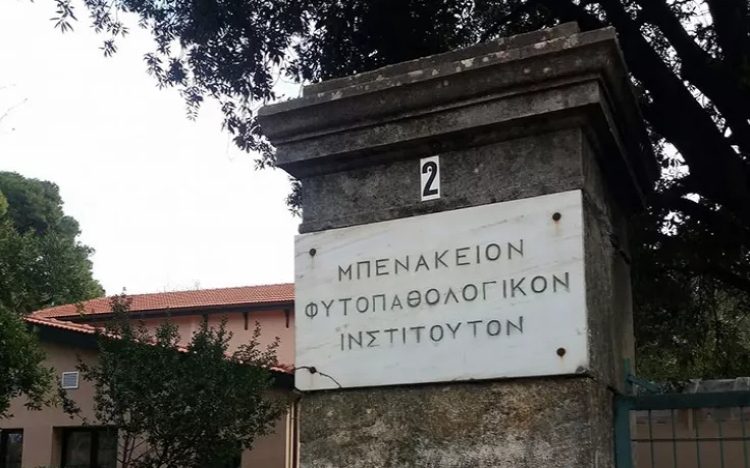 Μπενάκειο Φυτοπαθολογικό Ινστιτούτο: Ανοίγει τις πόρτες του στο κοινό για την Ευρωπαϊκή Βραδιά του Ερευνητή PlantHealth4ALL