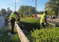 Δήμος Αμαρουσίου: «Συνεχίζεται το εντατικό θερινό πρόγραμμα συντήρησης πρασίνου και ευπρεπισμού στις γειτονιές»