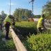 Δήμος Αμαρουσίου: «Συνεχίζεται το εντατικό θερινό πρόγραμμα συντήρησης πρασίνου και ευπρεπισμού στις γειτονιές»