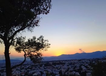 Δράση καθαρισμού του δάσους Αγίου Θεοκλήτου στα Άνω Βριλήσσια