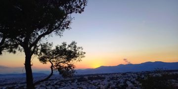 Δράση καθαρισμού του δάσους Αγίου Θεοκλήτου στα Άνω Βριλήσσια