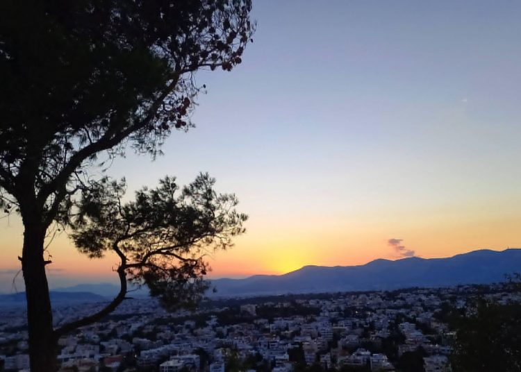 Δράση καθαρισμού του δάσους Αγίου Θεοκλήτου στα Άνω Βριλήσσια