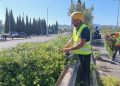 Δήμος Αμαρουσίου: «Ολοκληρώθηκε η εκτεταμένη συντήρηση πρασίνου επί της οδού Σπύρου Λούη»