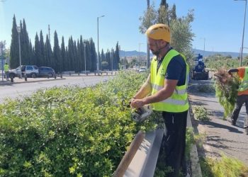 Δήμος Αμαρουσίου: «Ολοκληρώθηκε η εκτεταμένη συντήρηση πρασίνου επί της οδού Σπύρου Λούη»