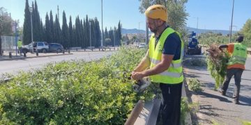 Δήμος Αμαρουσίου: «Ολοκληρώθηκε η εκτεταμένη συντήρηση πρασίνου επί της οδού Σπύρου Λούη»