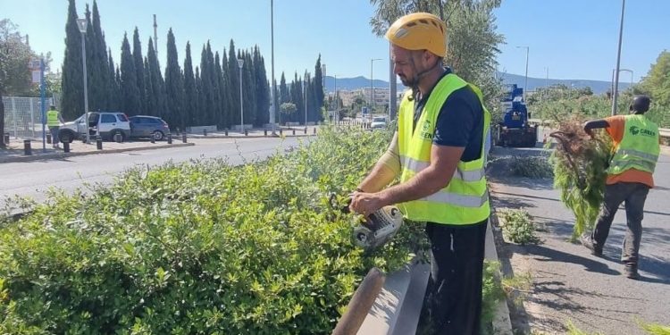 Δήμος Αμαρουσίου: «Ολοκληρώθηκε η εκτεταμένη συντήρηση πρασίνου επί της οδού Σπύρου Λούη»