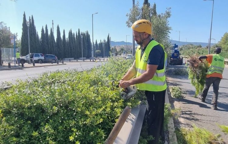 Δήμος Αμαρουσίου: «Ολοκληρώθηκε η εκτεταμένη συντήρηση πρασίνου επί της οδού Σπύρου Λούη»