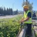 Δήμος Αμαρουσίου: «Ολοκληρώθηκε η εκτεταμένη συντήρηση πρασίνου επί της οδού Σπύρου Λούη»