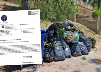 Περιφέρεια Αττικής: «Άμεσες ενέργειες» ζητά από τον Δήμο για καθαριότητα και πυροπροστασία