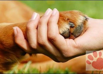 ΕΠΑΦΗ: «Όταν η διαφάνεια δοκιμάζεται, οι θεσμοί οφείλουν να απαντούν..»