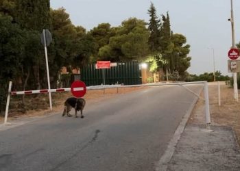 «Αγία Παρασκευή η Πόλη μας»: «Πότε επιτέλους θα ασχοληθούν με τα σοβαρά θέματα;»