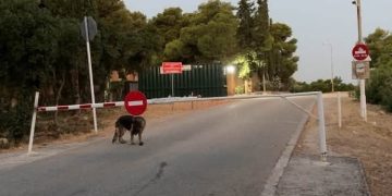 «Αγία Παρασκευή η Πόλη μας»: «Πότε επιτέλους θα ασχοληθούν με τα σοβαρά θέματα;»