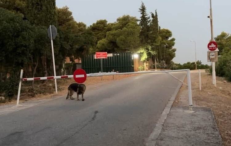 «Αγία Παρασκευή η Πόλη μας»: «Πότε επιτέλους θα ασχοληθούν με τα σοβαρά θέματα;»