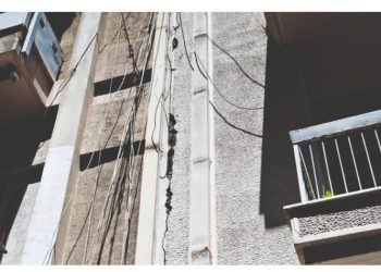 Μετροπόντικας: Κυψέλη, όπως Πετράλωνα