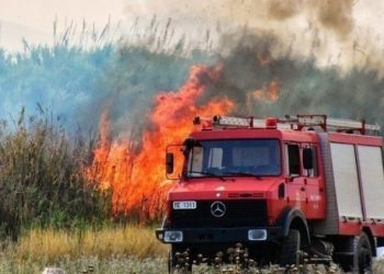 Πυρκαγιά σε χαμηλή βλάστηση στον Χάρακα Αττικής- Προειδοποιητικό μήνυμα του 112