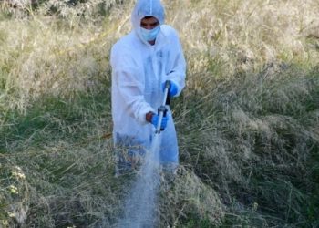 Προληπτικοί ψεκασμοί για τα κουνούπια από Περιφέρεια Αττικής και Δήμο Αμαρουσίου
