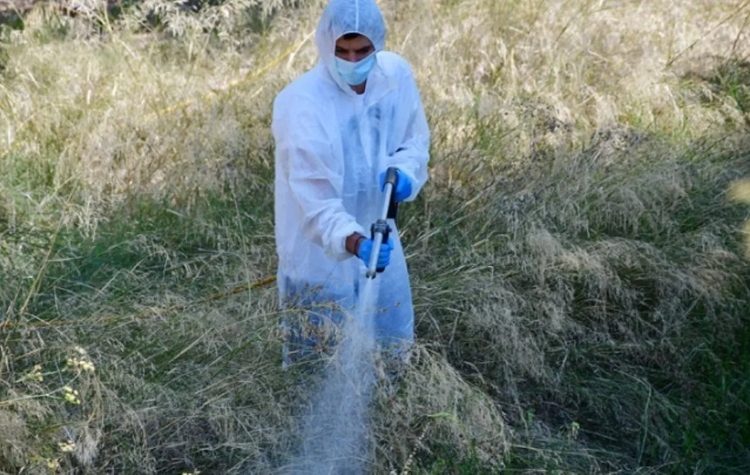 Προληπτικοί ψεκασμοί για τα κουνούπια από Περιφέρεια Αττικής και Δήμο Αμαρουσίου