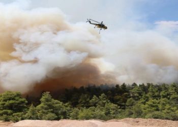 Συλλυπητήρια ανακοίνωση του ΣΠΑΥ για το δυστύχημα στην Ψάθα