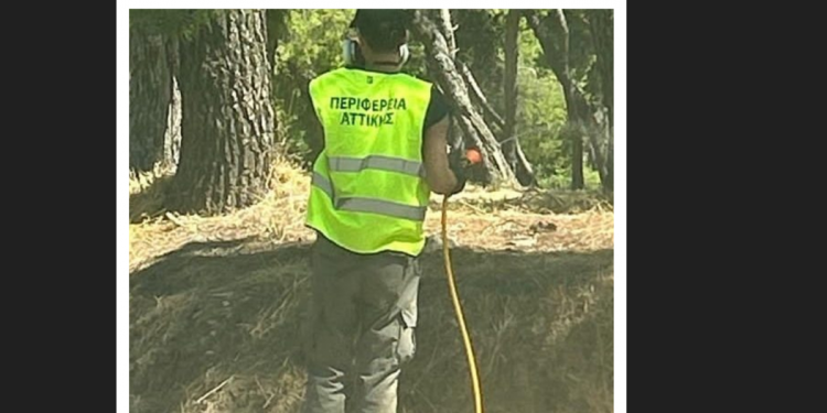 Π.Ε. Βόρειου Τομέα: «Αυξημένη ετοιμότητα για τα κουνούπια – Σε εξέλιξη ο 13ος κύκλος εφαρμογών»