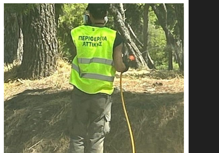 Π.Ε. Βόρειου Τομέα: «Αυξημένη ετοιμότητα για τα κουνούπια – Σε εξέλιξη ο 13ος κύκλος εφαρμογών»