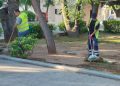 Δήμος Αμαρουσίου: Καθαρισμός και συντήρηση πρασίνου στις οδούς Νερατζιωτίσσης, Αγίων Αναργύρων, 28ης Οκτωβρίου και στο Ζεκάκειο