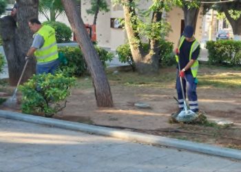 Δήμος Αμαρουσίου: Καθαρισμός και συντήρηση πρασίνου στις οδούς Νερατζιωτίσσης, Αγίων Αναργύρων, 28ης Οκτωβρίου και στο Ζεκάκειο