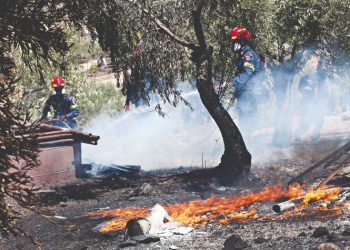 Ώρα να αλλάξει η πολιτική πρόληψης των δασικών πυρκαγιών