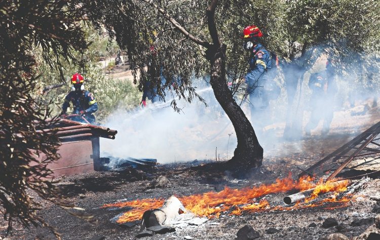 Ώρα να αλλάξει η πολιτική πρόληψης των δασικών πυρκαγιών