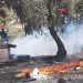Ώρα να αλλάξει η πολιτική πρόληψης των δασικών πυρκαγιών