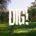 Το «DIG!» του Θοδωρή Βουρνά υποψήφιο για Best European Short Film στη Βαρκελώνη
