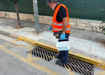 προνυμφοκτονίες και ακμαιοκτονίες,