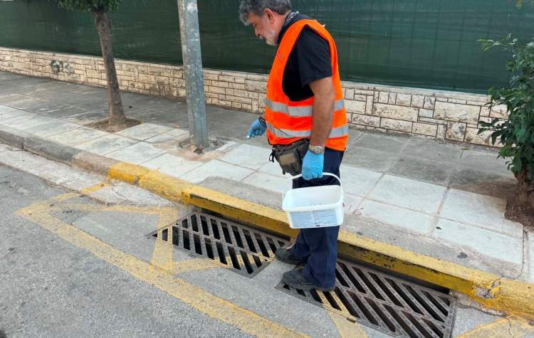 προνυμφοκτονίες και ακμαιοκτονίες,