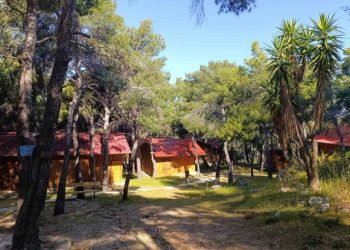 Βιβή Κωτσιοπούλου: «Σπέκουλα ακόμα και με την μεγάλη πυρκαγιά από την κ. Θωμαΐδου»
