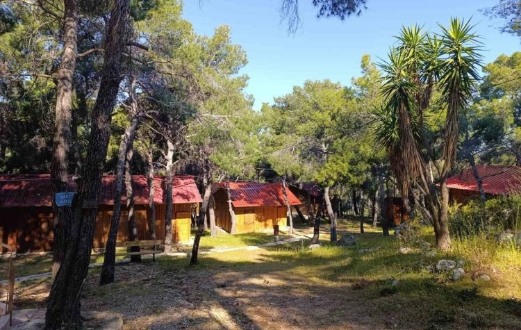 Βιβή Κωτσιοπούλου: «Σπέκουλα ακόμα και με την μεγάλη πυρκαγιά από την κ. Θωμαΐδου»