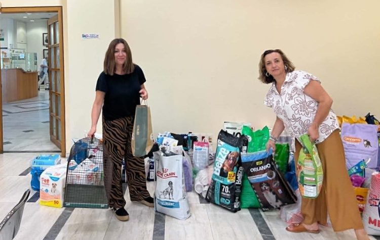 Ο Δήμος Αμαρουσίου στο πλευρό των αδέσποτων ζώων που διασώθηκαν από τις πυρκαγιές